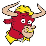 NJ Bull Bag - Other in Montville