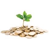 Malleo Financial Services - Financial Services in Garfield