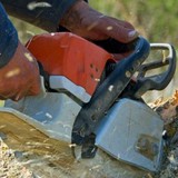Adirondack Tree Specialists - Other in Lincoln Park