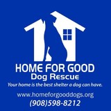 Home For Good Dog Rescue Inc - Other in Berkeley Heights