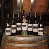 Tomasello's Winery - Other in Hammonton