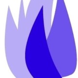 Temple Beth or - Synagogues in Township of Washington