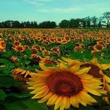 Center For Mindful Change - Other in Boonton