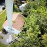 Avery Tree Experts South LLC - Other in West Long Branch