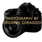Photography By Gregory Coraggio - Other in Brick