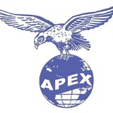 Apex Technology Group Inc - Business Consulting in Edison
