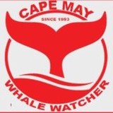 Cape May Whale & Dolphin Watch - Other in Cape May