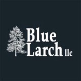 Blue Larch LLC - Other