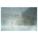 Lloyds Fine Photography - Other in Mountainside