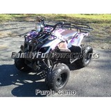 Family Fun Powersports LLC - Other in Skillman