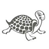 Turtlenergy LLC - Other in Manasquan