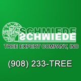 Schmiede Tree Expert Company - Other in Fanwood