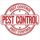 On point pest control - Pest Control in Newton