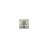 daartshop - Other in Blairstown
