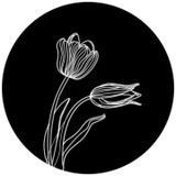 The Blue Tulip - Other in Phillipsburg