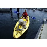 Shark River Kayak CO - Other in Belmar