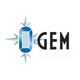 Gem Limousine Service Inc - Limos in Woodbridge Township