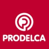Prodelca LLC - Other in Perth Amboy