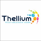 Thellium Technologies Corp - Business Consulting in Montclair