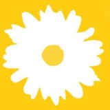 Domestic Abuse Services Inc - Other in Newton