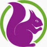 Hiring Solutions Group - Other in Passaic