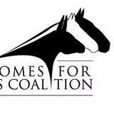 Sundew Stables And Equine Rescue - Other in Blairstown