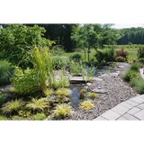Pondview Landscaping Inc - Landscaping in Brick