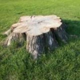 Big Foot Tree Service - Tree Services in Wayne