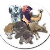 Coalition For Animals - Other in Somerville