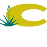 Citadel Apartments - Apartments in Albuquerque