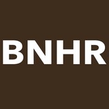 Border Network For Human Rghts - Other in Anthony