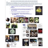 Designing Women of Arizona - Other in Hope