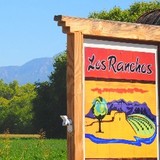 Los Ranchos Fence - Fences & Gates in Albuquerque