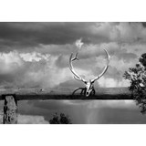 The John Day Law Office - Solicitors & Lawyers in Santa Fe