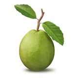 Guava Tree Cafe - Cafes in Albuquerque