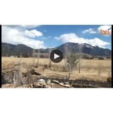 Maddox Outdoor Solutions, LLC - Other in Arroyo Seco