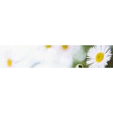All Seasons Landscape - Landscaping in Rio Rancho