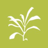 Consensus Planning Inc - Landscape Architects in Albuquerque