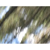 Insignis Solutions Llc - Other in Los Alamos