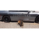 Allstate Security Services LLC - Other in Roswell