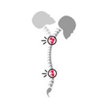 Albuquerque Neck & Back Pain - Chiropractors in Albuquerque