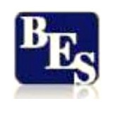 Business Evaluation Systems - Other in Raton