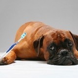 Baca Christy - Dental Hygienists in Santa Fe