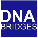 Dna Bridges Inc - Business Consulting in Santa Fe