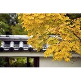 Hanayagi the Japanese Garden - Landscaping in Albuquerque