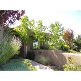 Home Team Santa Fe LLC - Other in Santa Fe