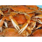Crab Corner - Seafood in Las Vegas