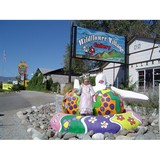 Wildflower Village - Apartments in Reno