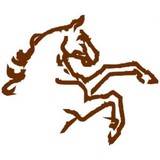 Innovative Equine Systems - Other in Minden