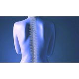 Lampe Chiropractic - Chiropractors in Henderson